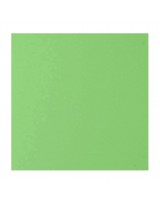 О23004 Открытка 16Х16 двойная светло-зеленая матовая