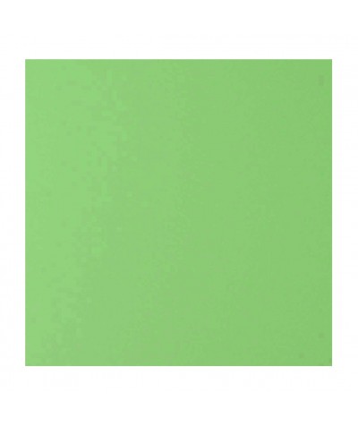 О23004 Открытка 16Х16 двойная светло-зеленая матовая