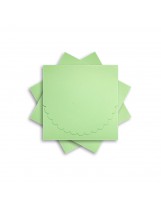ОКCD1004 Основа для конверта под CD №1 КОМПЛЕКТ 3шт.  Цвет светло-зеленый матовый