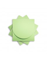 ОКCD2004 Основа для конверта под CD №2 КОМПЛЕКТ 3шт.  Цвет светло-зеленый матовый